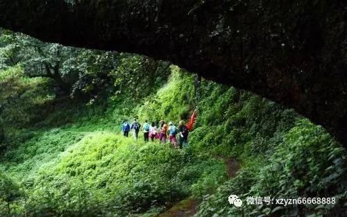 火柴人拯救大冒险